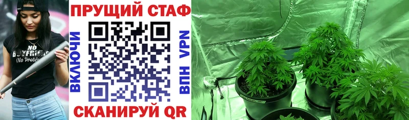 Купить закладку Гашиш  АМФ  Меф  Торжок