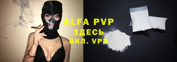 гидра Зеленокумск