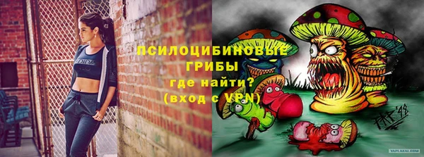гидра Зерноград