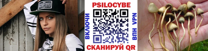Купить закладки  Торжок  Галлюциногенные грибы мухоморы 